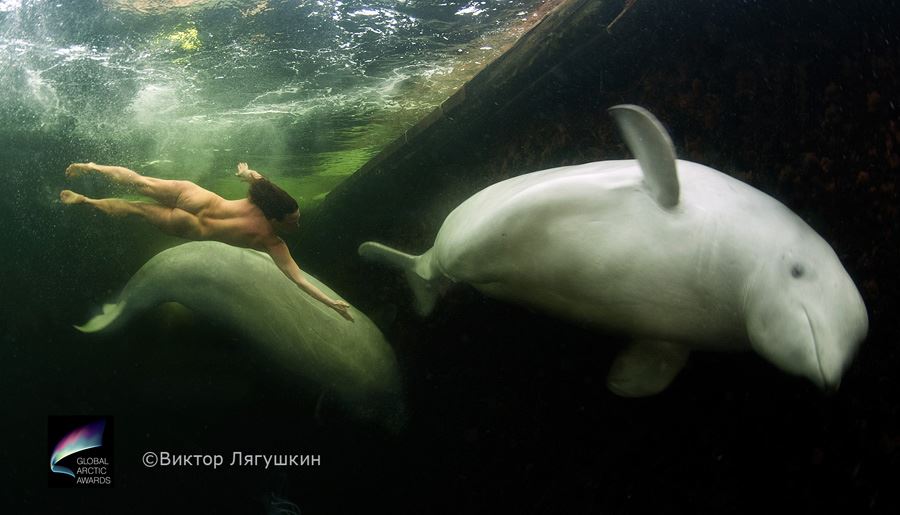 Красиві фотографії National Geographic