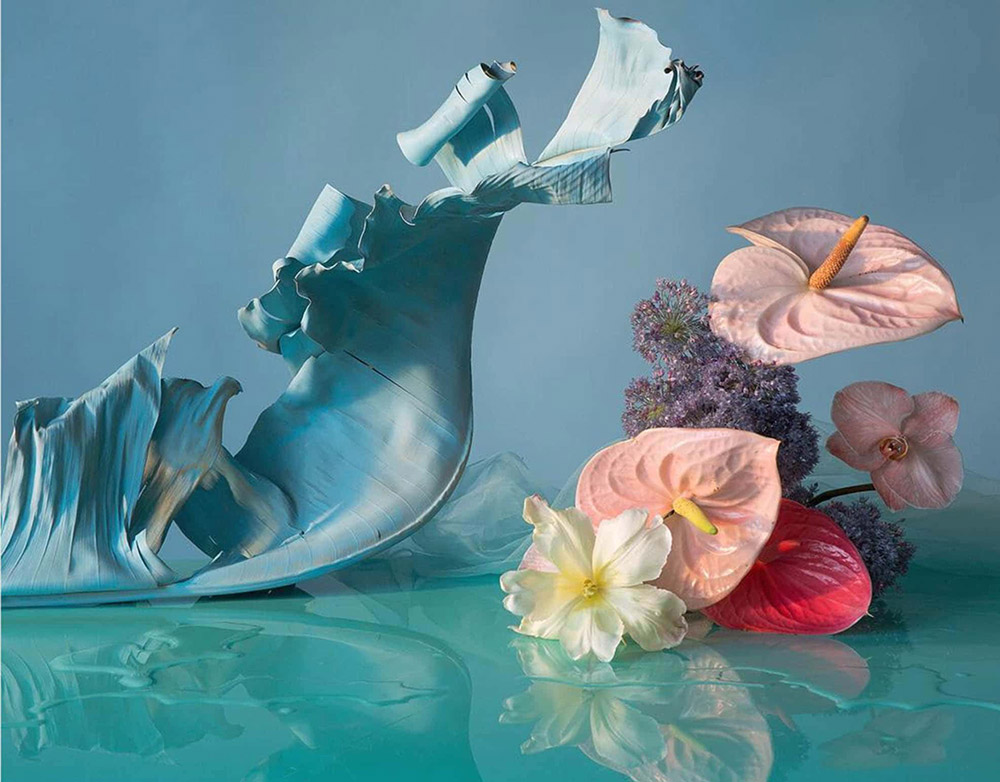Теория цвета в фотографии. Doan Ly’s Ethereal Still Lifes
