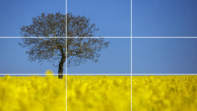 Rule-of-Thirds-Tree.jpg