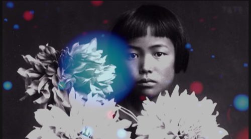 YAYOI KUSAMA • Фотографка з Японії