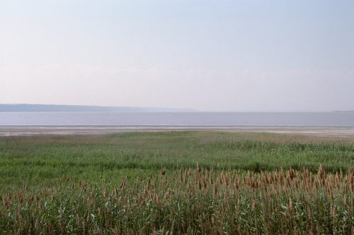 spaces 2011-12