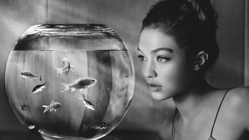 ALBERT WATSON
