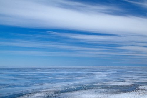 выпускник КШФ