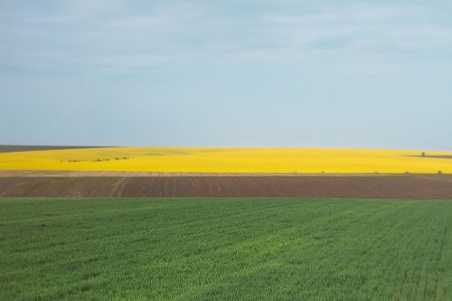 Ольга Войтко