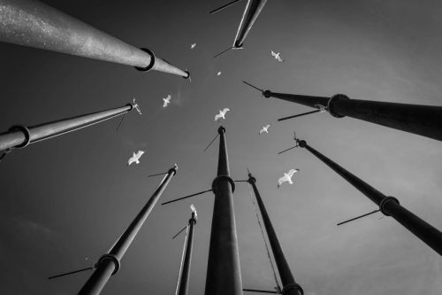 работы выпускников для фотоярмарки