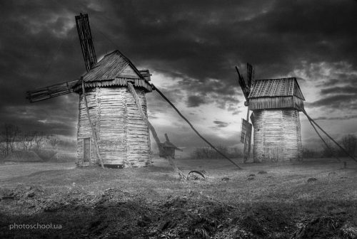 Денис Дольников  • Улетая в теплые края