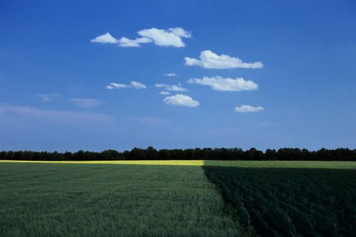 spaces 2011-12