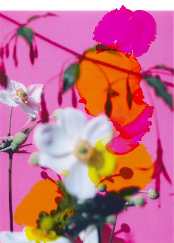 Vivien Sassem