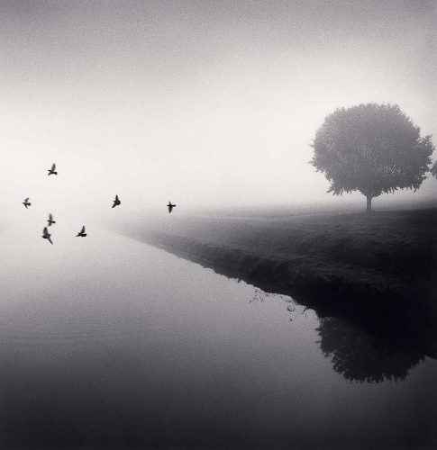 MICHAEL KENNA