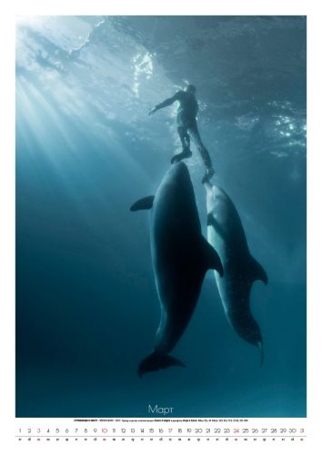Проекты Виктора Лягушкина Nikon Calendar 2019