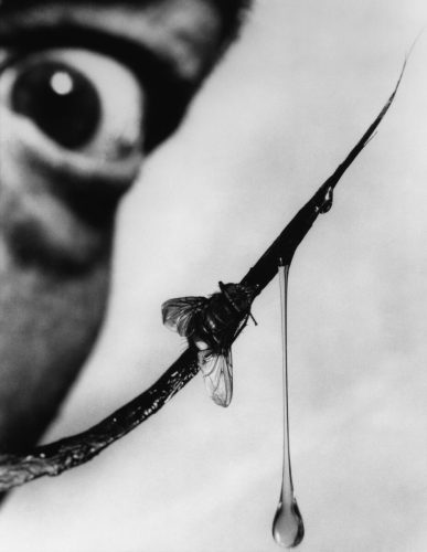 Salvador DALI (Spain), painter, and his mustache.