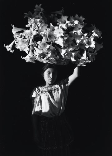 Flor Garduno. Basket of Light 1989 (Canasta de Luz ).  