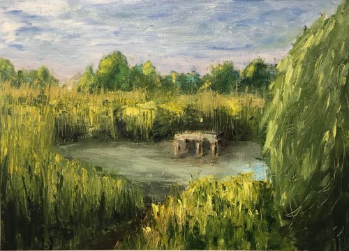 4_Брошенный_ставок_в_ранних_лучах_солнца