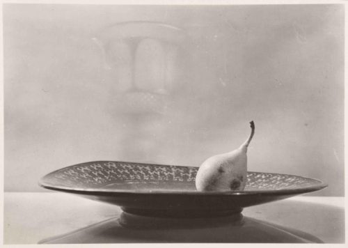 Still Life, Josef Sudek