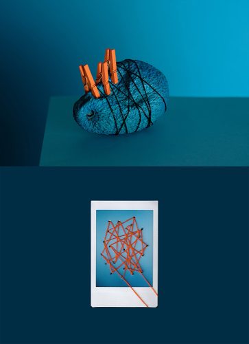 project Metamorphoses