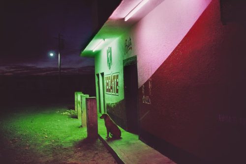 La Calle — Alex Webb & Rebecca Norris Webb