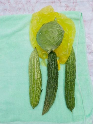 Viviane Sassen