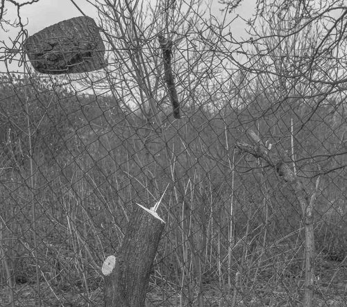 Фотографічний візуалізм