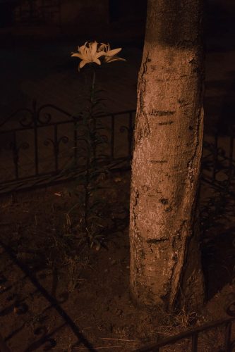 Художественная фотография