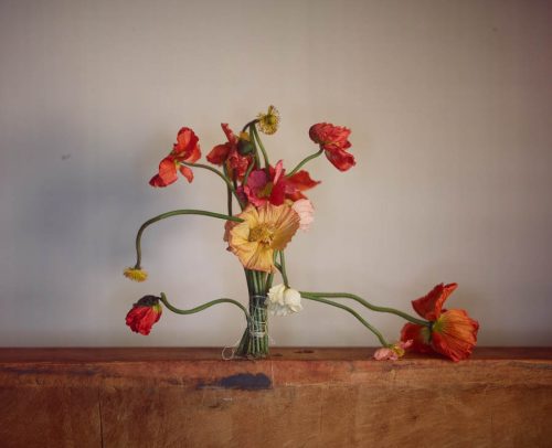 Richard Learoyd: Still-life 
