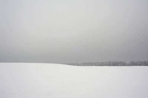 Дмитрий Богачук