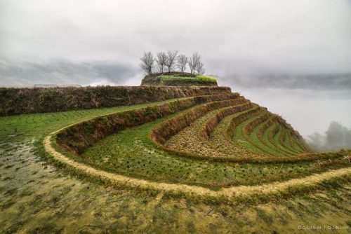 China, Dazhai village, rice terraces