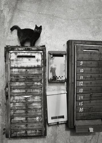 Фотовыставка Окружающая Реальность