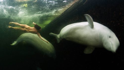 Прогулки под водой