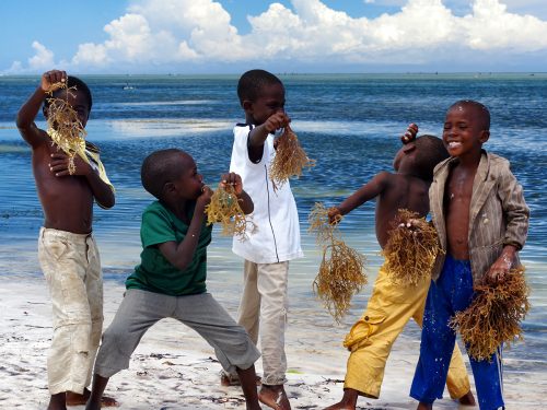 фотовыставка Киев Zanzibar-Jambo