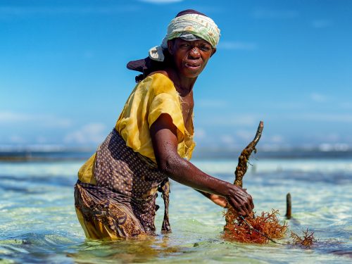 фотовыставка Киев Zanzibar-Jambo